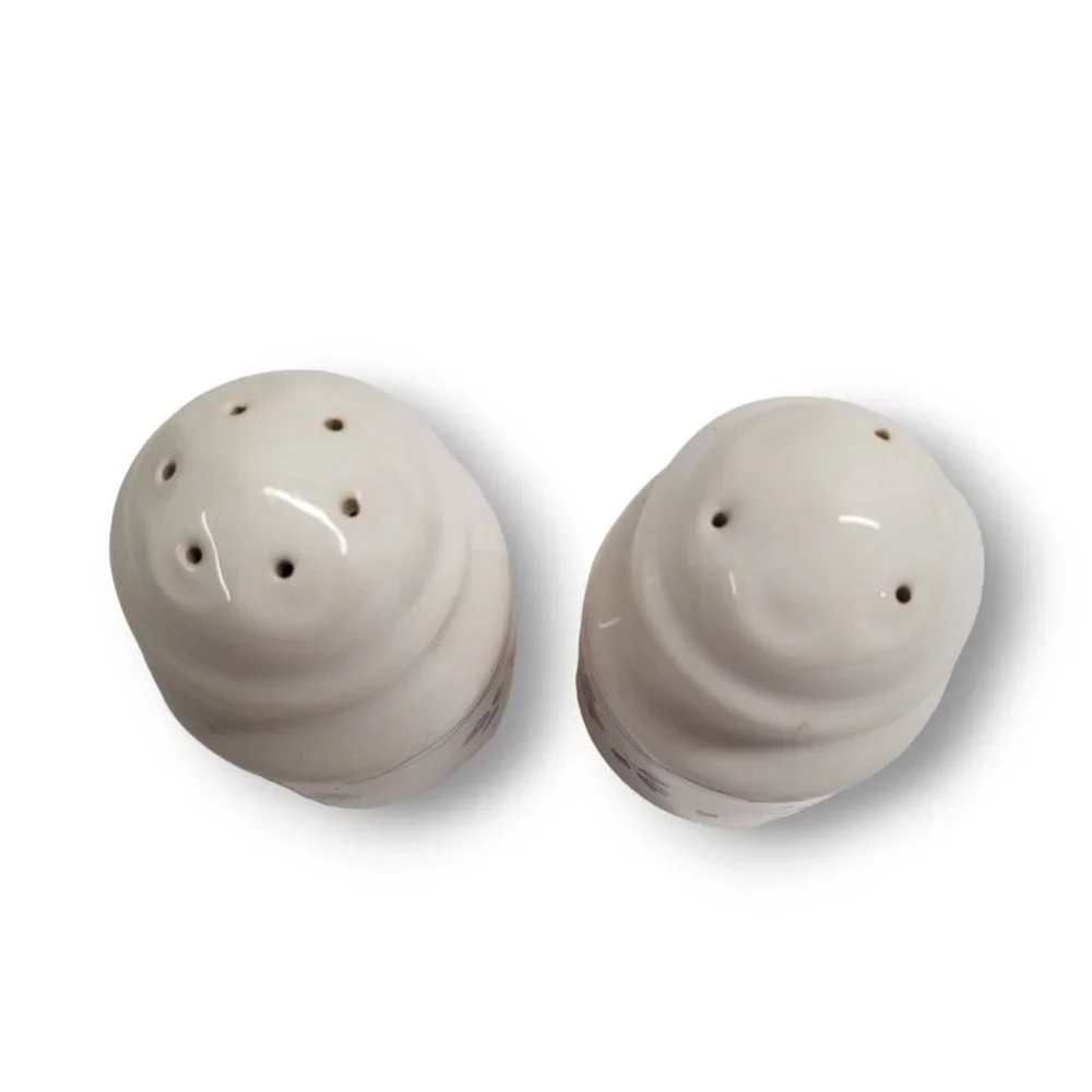 Pfaltzgraff Bonnie Brae Stoneware Salt Pepper Shakers Blue Pink Flowers USA S&P